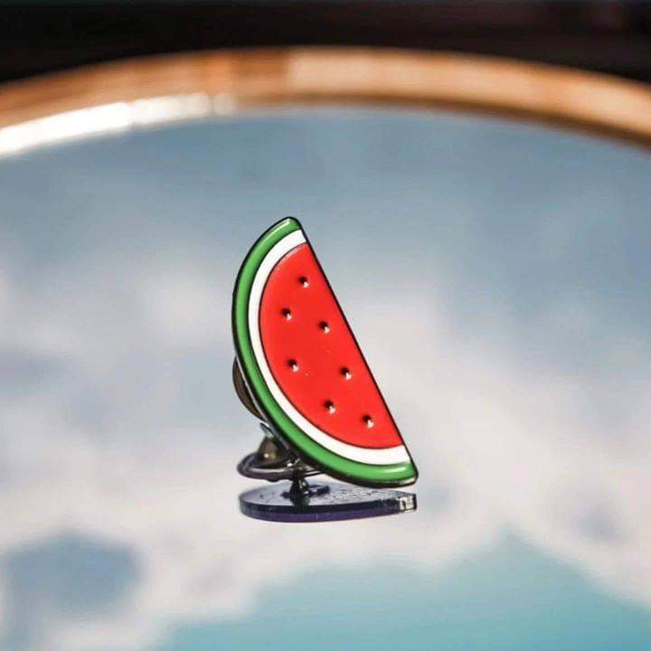 Brooch/pin - Half watermelon