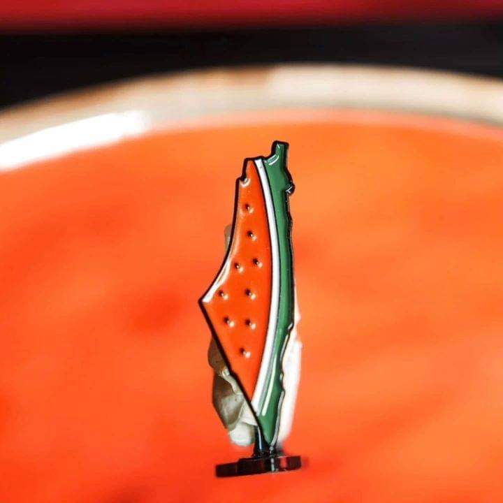 Brooch - Map of Palestine in watermelon