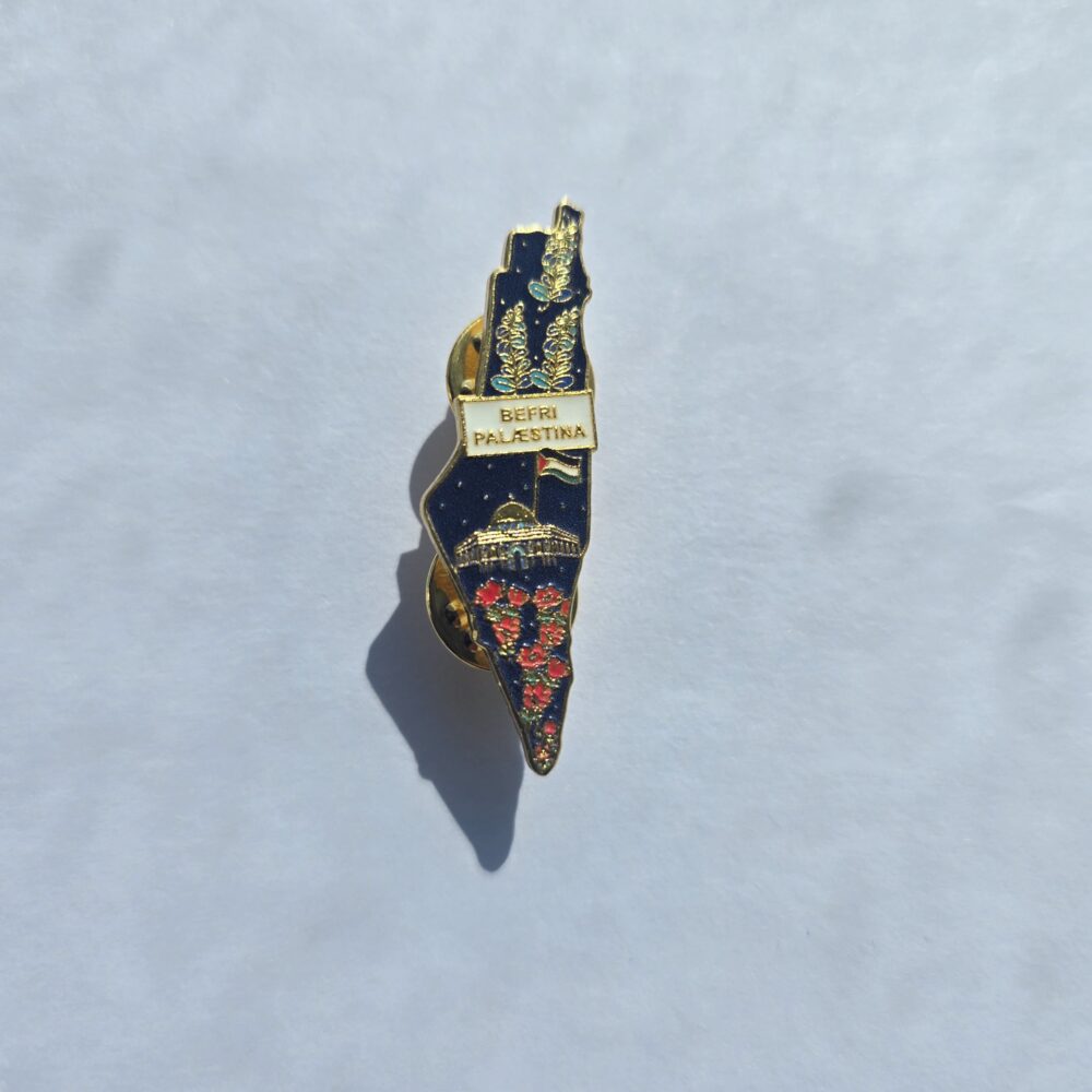 Brooch - Palestine map with the text "Free Palestine"
