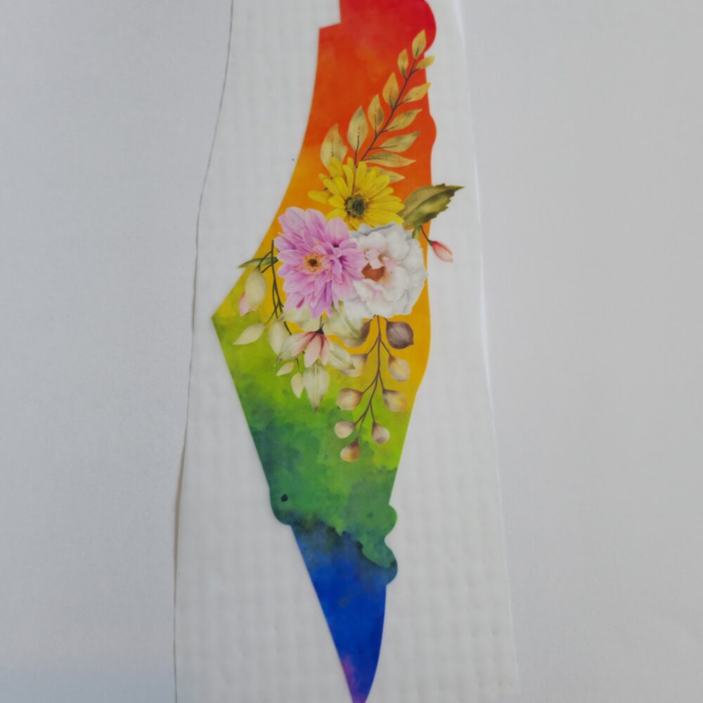 Dtf - Iron-on Transfer - Rainbow Palestine Map