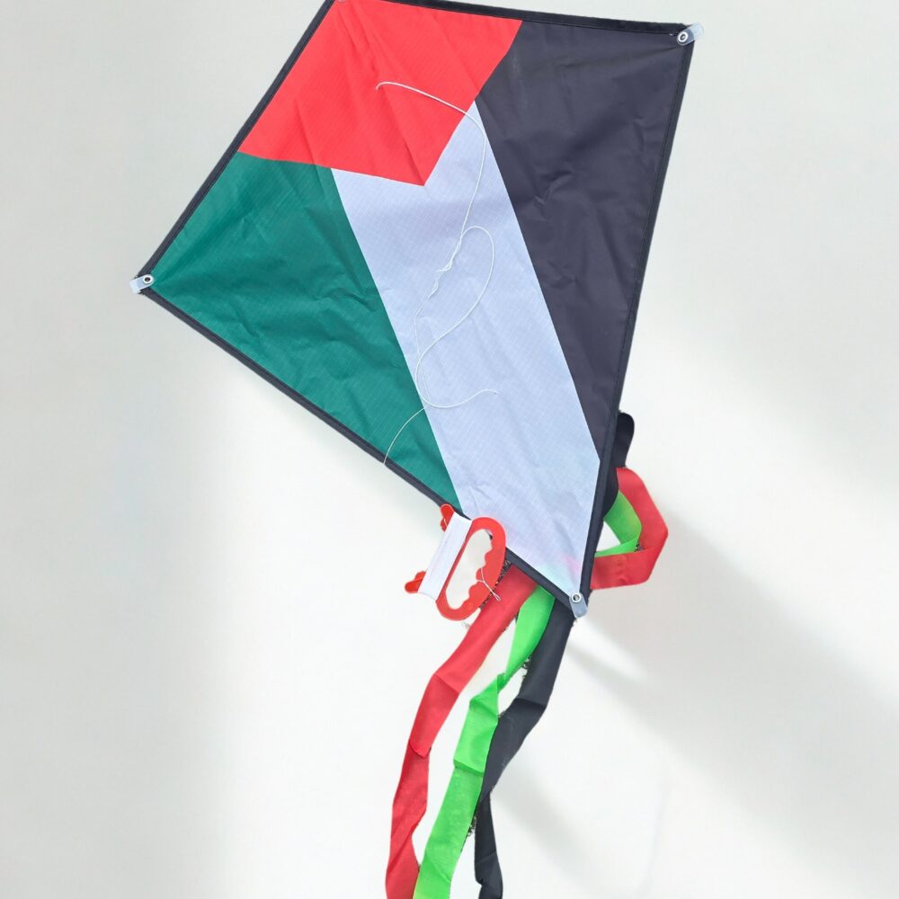Palestine kite