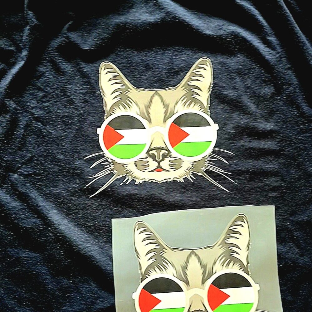 DTF - Iron-on patch - Cat with Palestine glasses